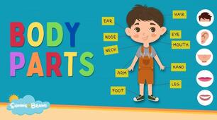 Parts of the body. Prepare 5.