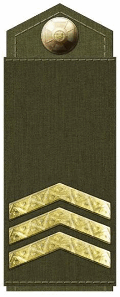 09009z8c-758b-236x582.png