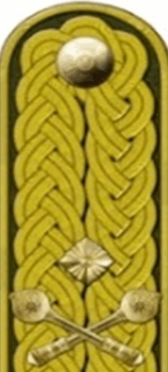 09009zik-534f-330x728.png