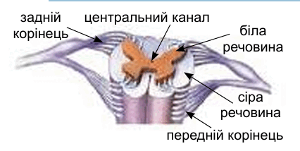 0900a0qc-e156-426x214.png