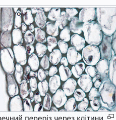 0900a10a-f875-230x237.png