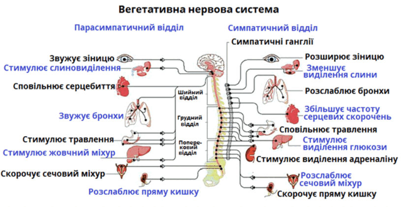 0900a1dk-092b-815x421.png