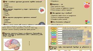 Діагностична контрольна робота 📚👩‍🏫 Тема: «Вища нервова діяльність» 8 клас (підручник Балан) з відповідями для вчителя. За 3 групами результатів🖐🧠