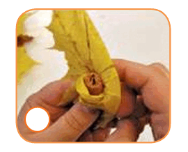 0900a6kg-1d4c-270x218.png