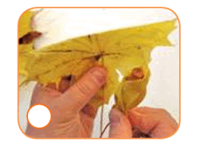 0900a6lr-1df2-289x224.png