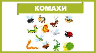 Міні-проєкт «Комахи»