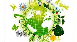 Організм людини як саморегульована біологічна система