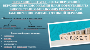 Презентація з фінансів на тему: "Роль і значення державних фінансів".
