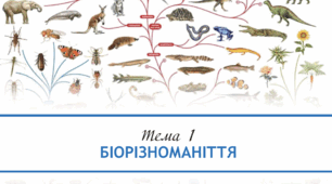 Тема 1:Біорізноманіття