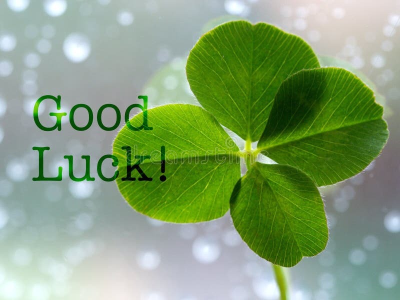 Good Luck - Inspirational Motivation Quote Stock Photo - Image of happy, celebration: 156004294