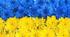 Складнопідрядне речення. Види підрядних речень