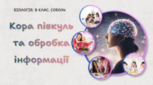 Кора півкуль та обробка інформації. 8 клас НУШ