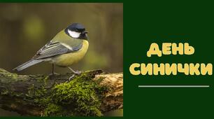 День синички