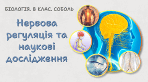 Нервова регуляція та наукові дослідження. 8 клас НУШ.