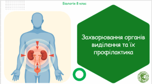 Презентація, конспект уроку та робочі аркуші на тему "Захворювання органів виділення та їх профілактика". 8 клас НУШ