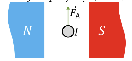0900avmt-7344-442x205.png