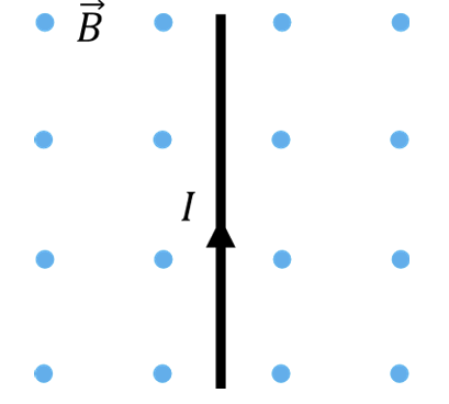 0900avmw-e614-409x368.png