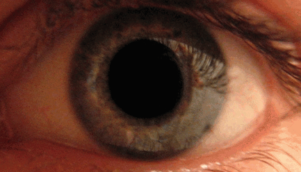 0900awqz-5d72-640x366.gif