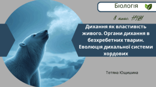 Дихання як властивість живого. Органи дихання в безхребетних тварин. Еволюція дихальної системи хордових. 8 клас. НУШ
