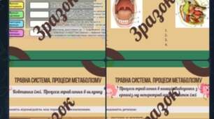 Робочі аркуші з теми Травна система. Процеси метаболізму🦷👅
