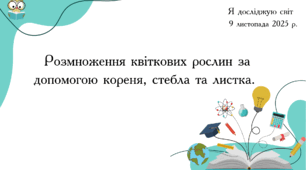 Презентація "Розмноження квіткових рослин за допомогою кореня, стебла та листка."
