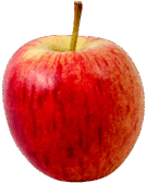 0900b0oa-6f7c-135x168.png