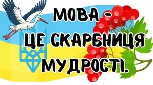 Досліджую закінчення іменників у родовому і місцевому відмінках множини