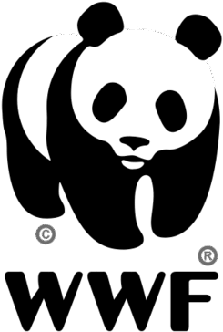 0900b37t-2fc5-245x364.png
