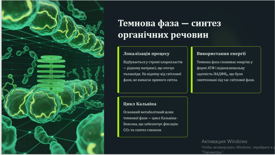 0900b3ey-309a-940x529.png