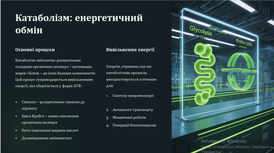0900b3gs-e7bb-940x526.png