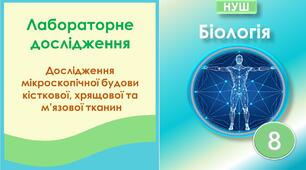 Лабораторне дослідження "Дослідження мікроскопічної будови кісткової, хрящової та м'язової тканин". Біологія 8 клас НУШ