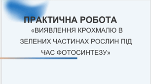 НУШ, 6 клас. Пізнаємо природу. Презентація практичної  роботи «ВИЯВЛЕННЯ КРОХМАЛЮ В ЗЕЛЕНИХ ЧАСТИНАХ РОСЛИН ПІД ЧАС ФОТОСИНТЕЗУ»