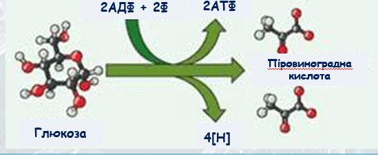 0900b4n2-e9ff-549x226.png