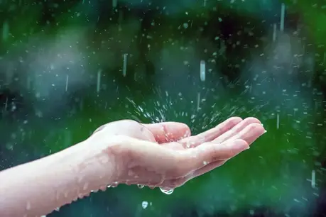 0900b8vg-e22b-459x306.webp