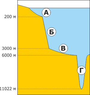 0900beeo-b498-300x315.png