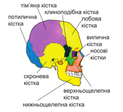 0900bgw2-997c-429x388.png
