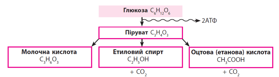 0900bjr9-3213-940x261.png