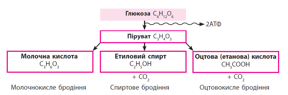 0900bjsm-65a2-940x311.png