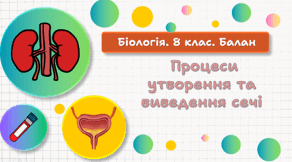 Процеси утворення та виведення сечі. 8 клас НУШ.
