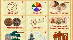 Мнемотаблиця плакат для опису диких тварин