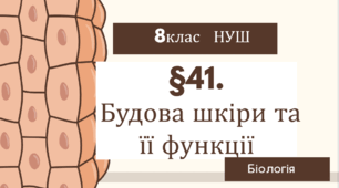 Презентація  до уроку  «§41.Будова шкіри та її функції»  8 клас НУШ