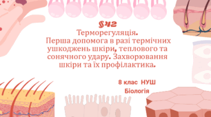 «§42. Терморегуляція.Перша допомога в разі термічних ушкоджень шкіри, теплового та сонячного удару. Захворювання шкіри та їх профілактика» 8 клас НУШ