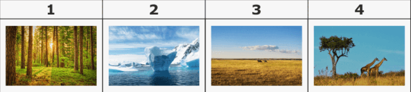 0900bs9d-28f5-810x182.png