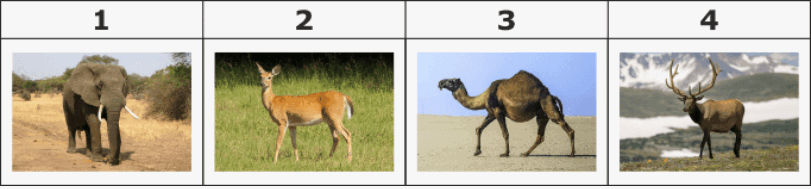 0900bsba-a3c6-811x189.png