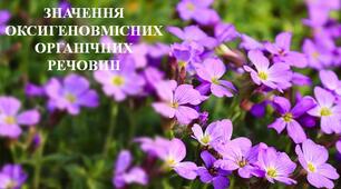 Значення та застосування оксигеновмісних органічних речовин і їхній вплив на довкілля.