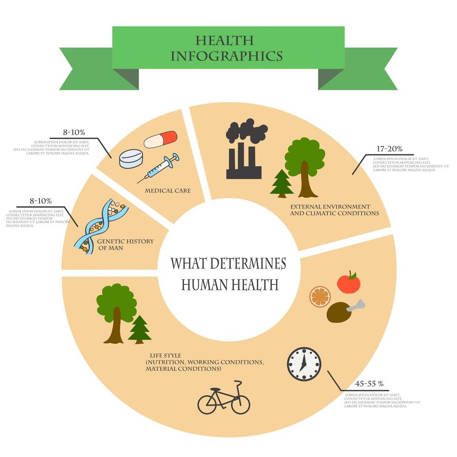 Зображення: the interaction of environmental factors and human health
