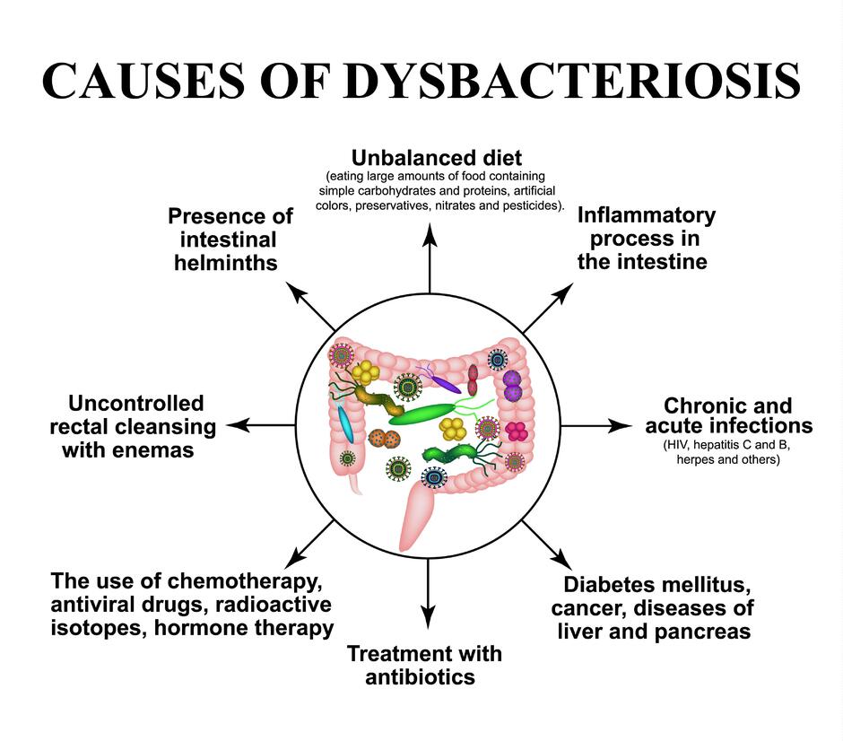 Зображення: Pathogenesis of Infectious Diseases