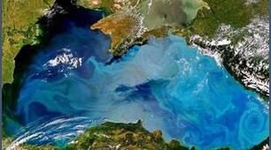 Які скарби приховує Чорне море