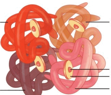 0900bwhq-f810-360x308.png