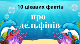 Презентація на тему "10 цікавих фактів про дельфінів" + шаблони сертифікатів